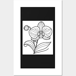 Black And White Orchid Design Posters and Art